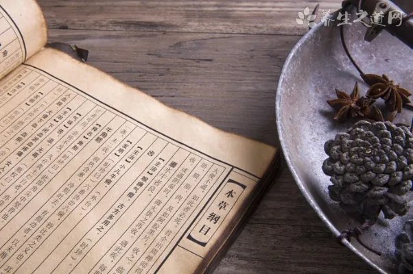 老年人吃什么营养品好呢