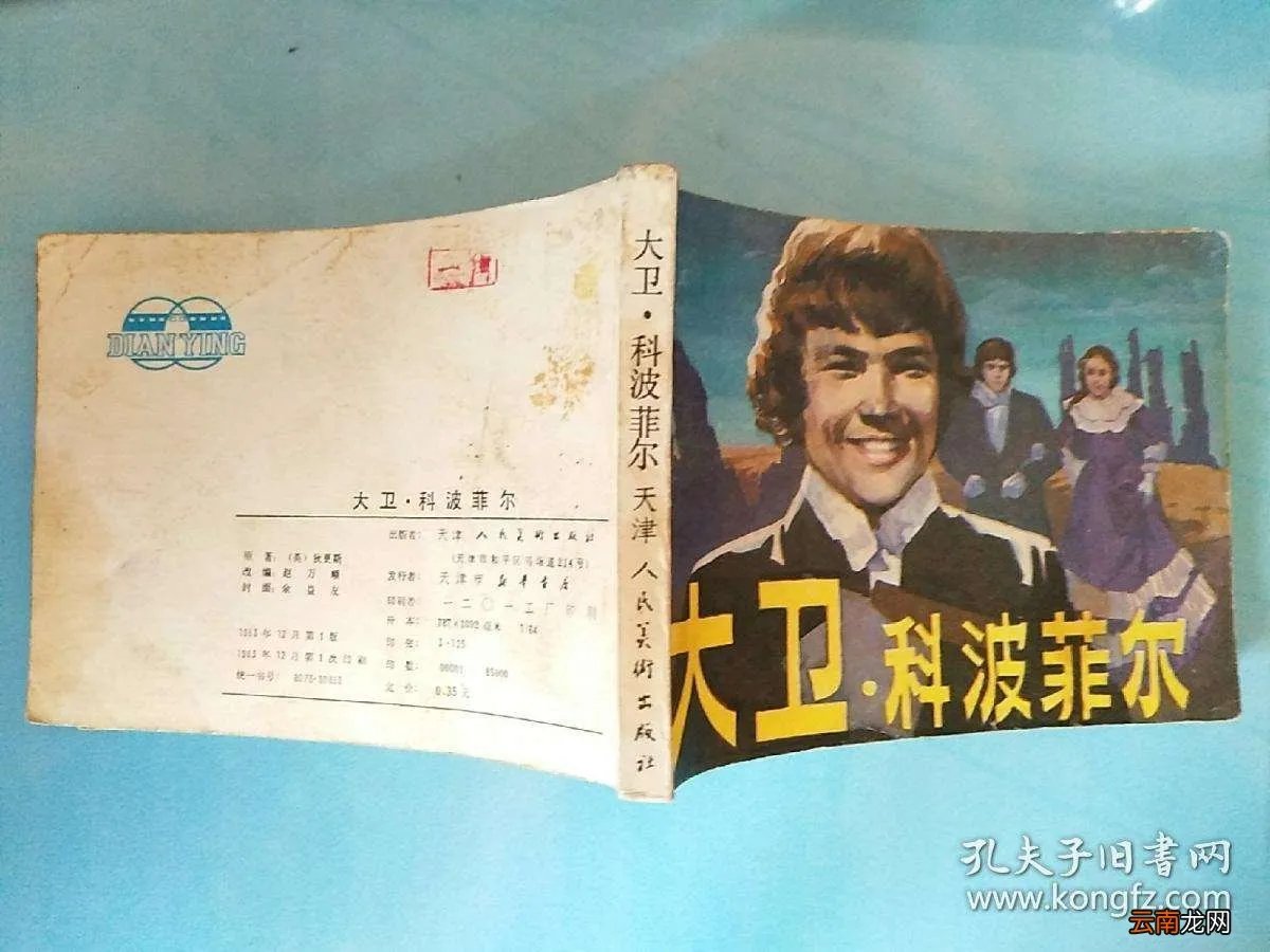 大卫科波菲尔人物简介