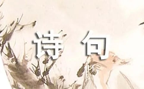 咏梅的诗句