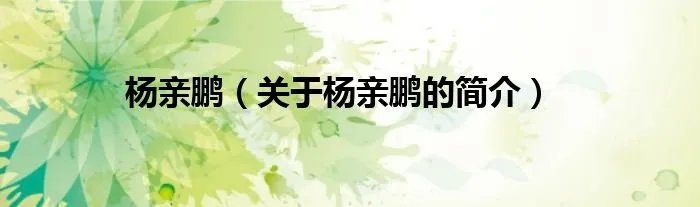 杨亲鹏（关于杨亲鹏的简介）