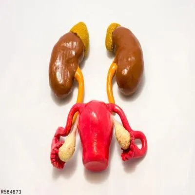 肾炎如何检查出来