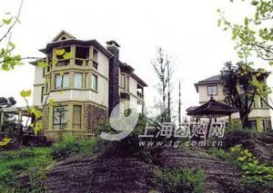 文强3000万天价豪宅装修到底有多奢华？