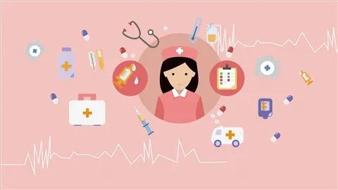 补气血吃什么最好最快