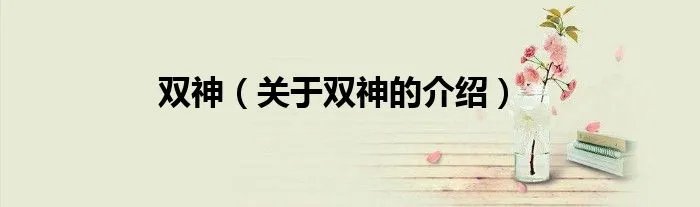 双神（关于双神的介绍）