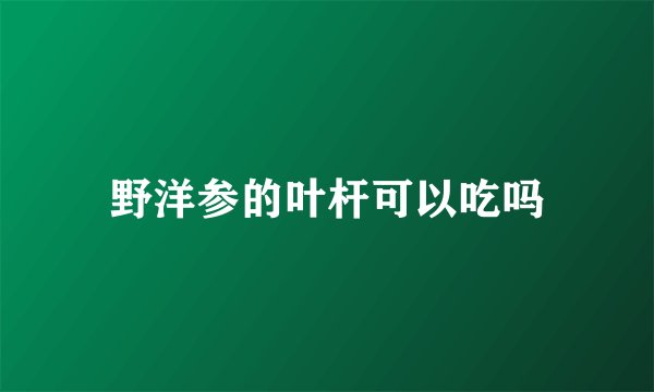 野洋参的叶杆可以吃吗