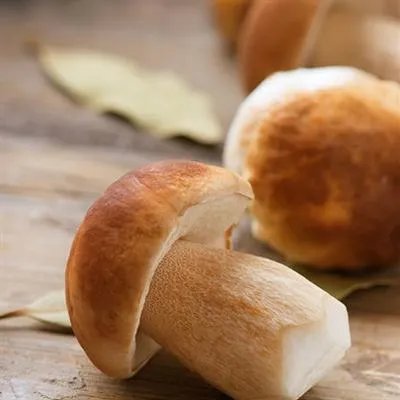 葡萄酒怎么喝