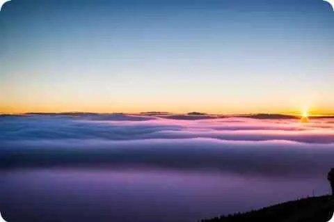 新恋爱时代一共多少集