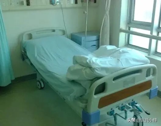 变乱家庭小说阅读