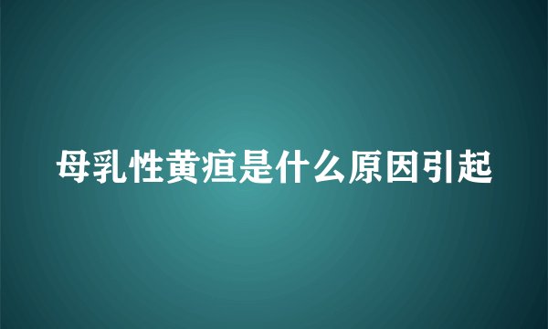 母乳性黄疸是什么原因引起