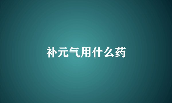 补元气用什么药