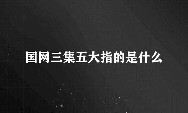国网三集五大指的是什么