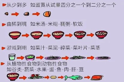 6个月宝宝辅食添加顺序图