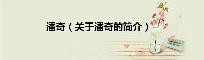 潘奇（关于潘奇的简介）