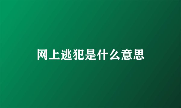 网上逃犯是什么意思