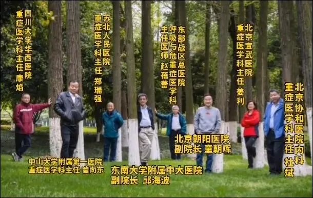 重症八仙名单,重症八仙谁最厉害?
