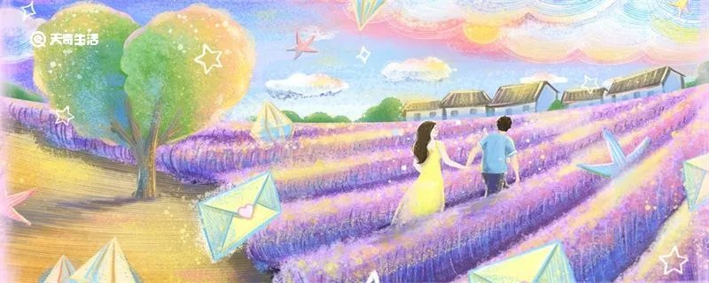 僚机是什么意思