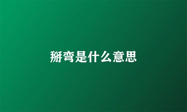 掰弯是什么意思