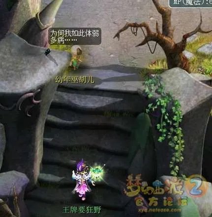 梦幻西游2新角色巫蛮儿渡劫全流程攻略