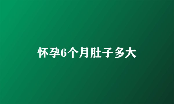 怀孕6个月肚子多大