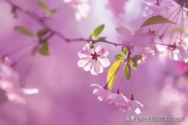 五十块钱怎么度过一个月？