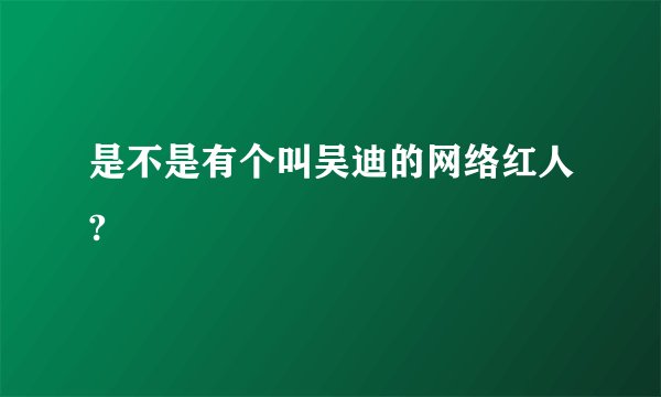 是不是有个叫吴迪的网络红人?