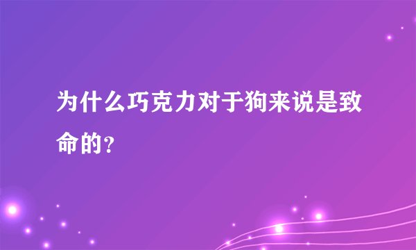 为什么巧克力对于狗来说是致命的？