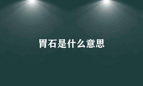 胃石是什么意思