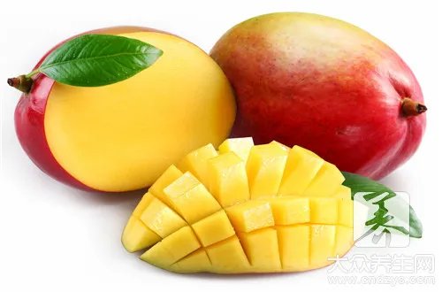 芒果对什么食物相克