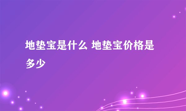 地垫宝是什么 地垫宝价格是多少