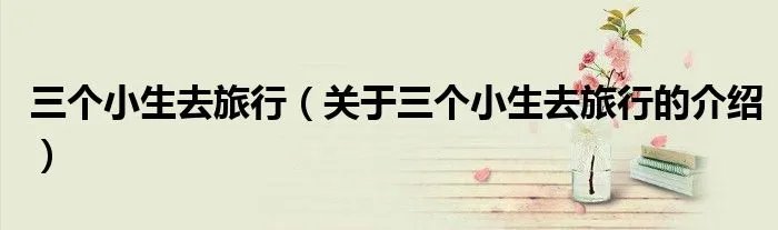 三个小生去旅行(关于三个小生去旅行的介绍)
