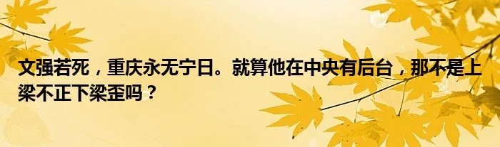 文强若死，重庆永无宁日。就算他在中央有后台，那不是上梁不正下梁歪吗？