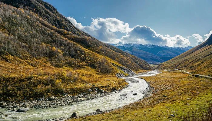 野外生存技巧 野外生存技巧有哪些