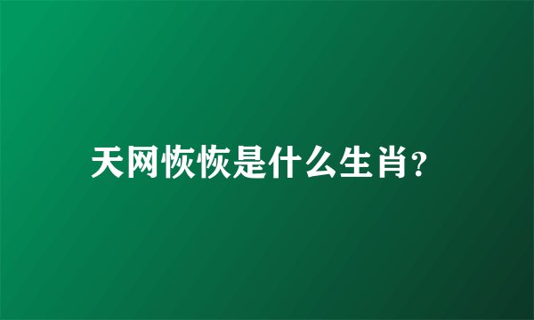 天网恢恢是什么生肖？
