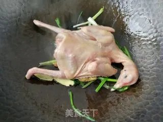 红烧鸽子