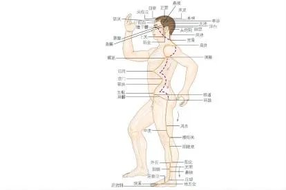 足少阳胆经的准确位置图