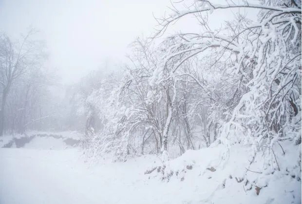 24节气大寒图片唯美 关于大寒节气的图片精美好看