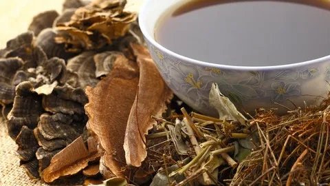 茯苓的功效与作用及食用方法