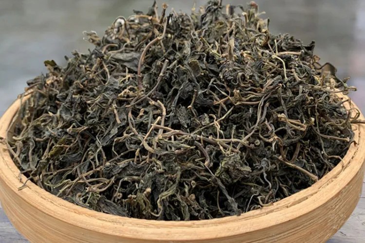 马兰头图片功效与作用禁忌