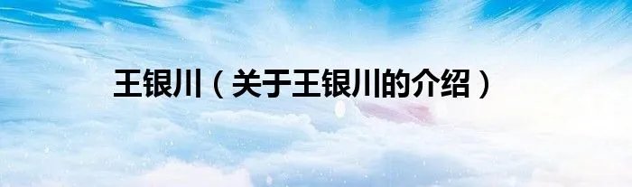 王银川（关于王银川的介绍）