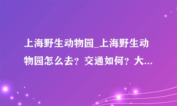 上海野生动物园_上海野生动物园怎么去？交通如何？大概多久？