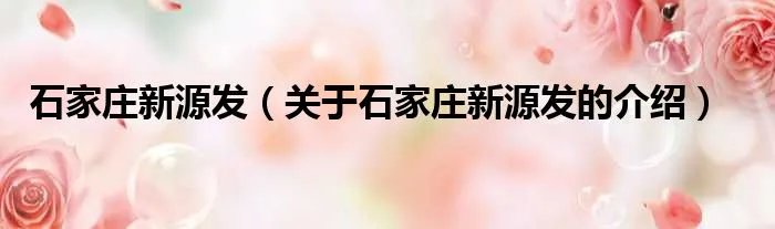 石家庄新源发（关于石家庄新源发的介绍）