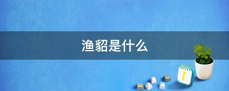 渔貂是什么