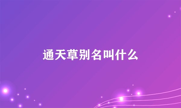 通天草别名叫什么