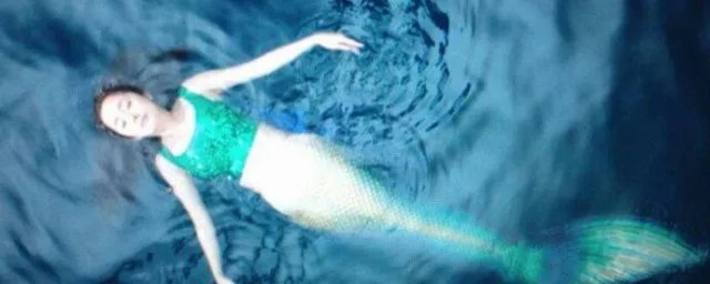 人鱼情未了 电视剧剧情 人鱼情未了剧情介绍