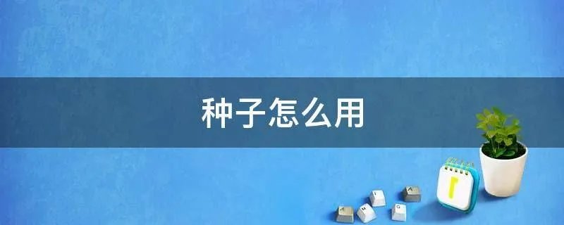 种子怎么用