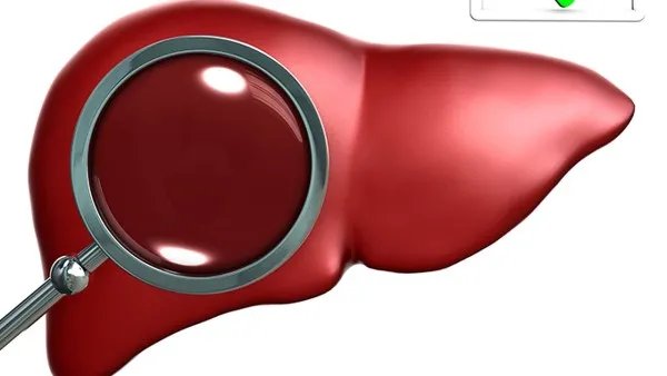 养肝护肝吃什么最好?吃什么养肝排毒最快