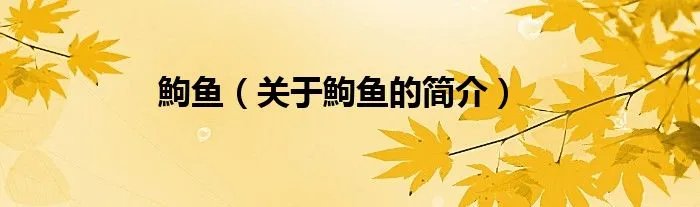 鮈鱼（关于鮈鱼的简介）