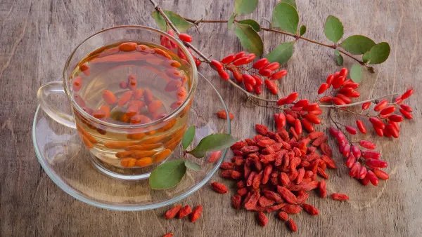 枸杞能提高性功能吗？一文带你了解