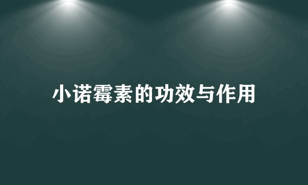 小诺霉素的功效与作用