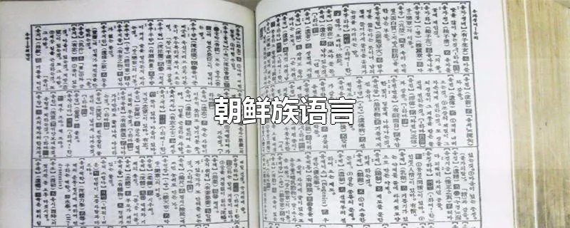 朝鲜族语言